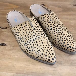 Dr. Scholl’s Leopard Mules